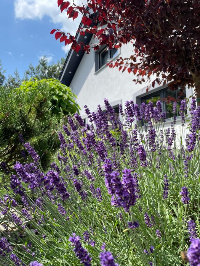 Hortus Apartament Z Klimatyzacja Boleslawiec  Dış mekan fotoğraf
