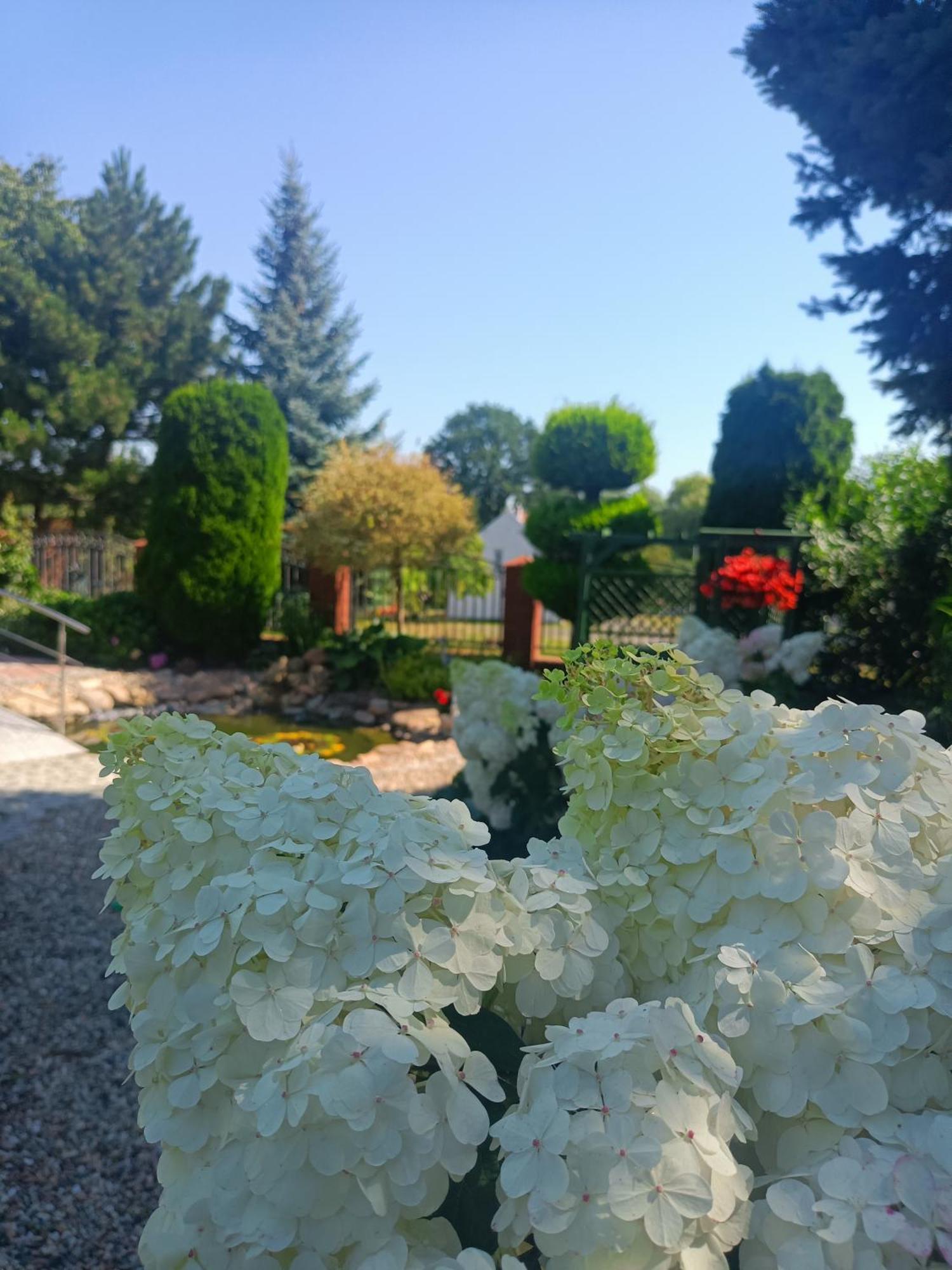 Hortus Apartament Z Klimatyzacja Boleslawiec  Dış mekan fotoğraf