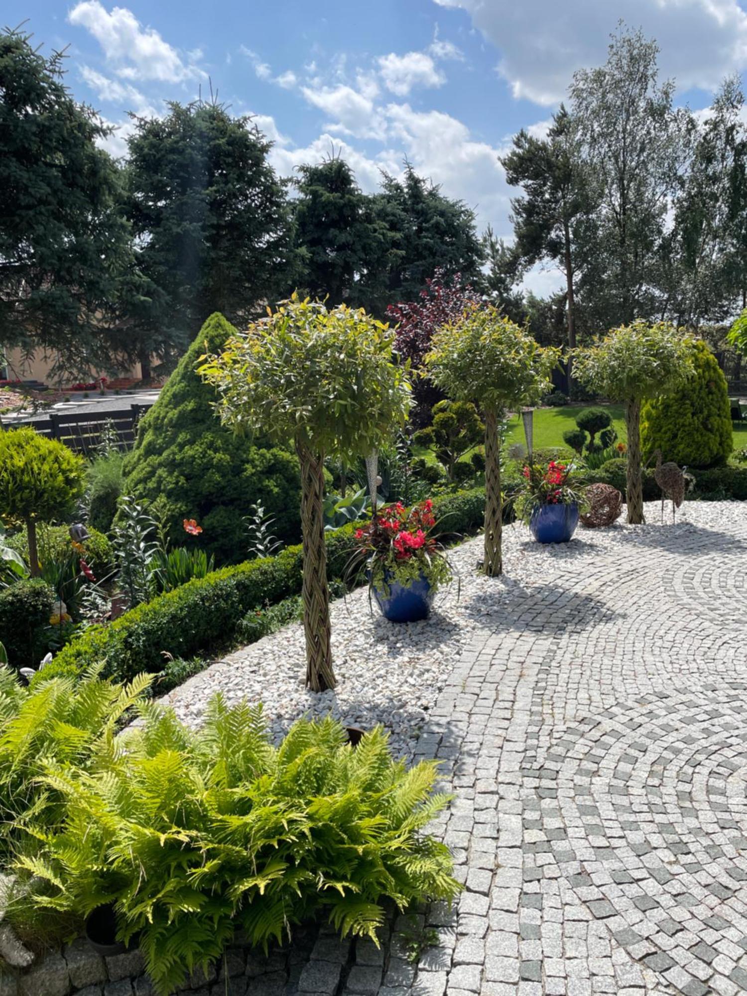Hortus Apartament Z Klimatyzacja Boleslawiec  Dış mekan fotoğraf