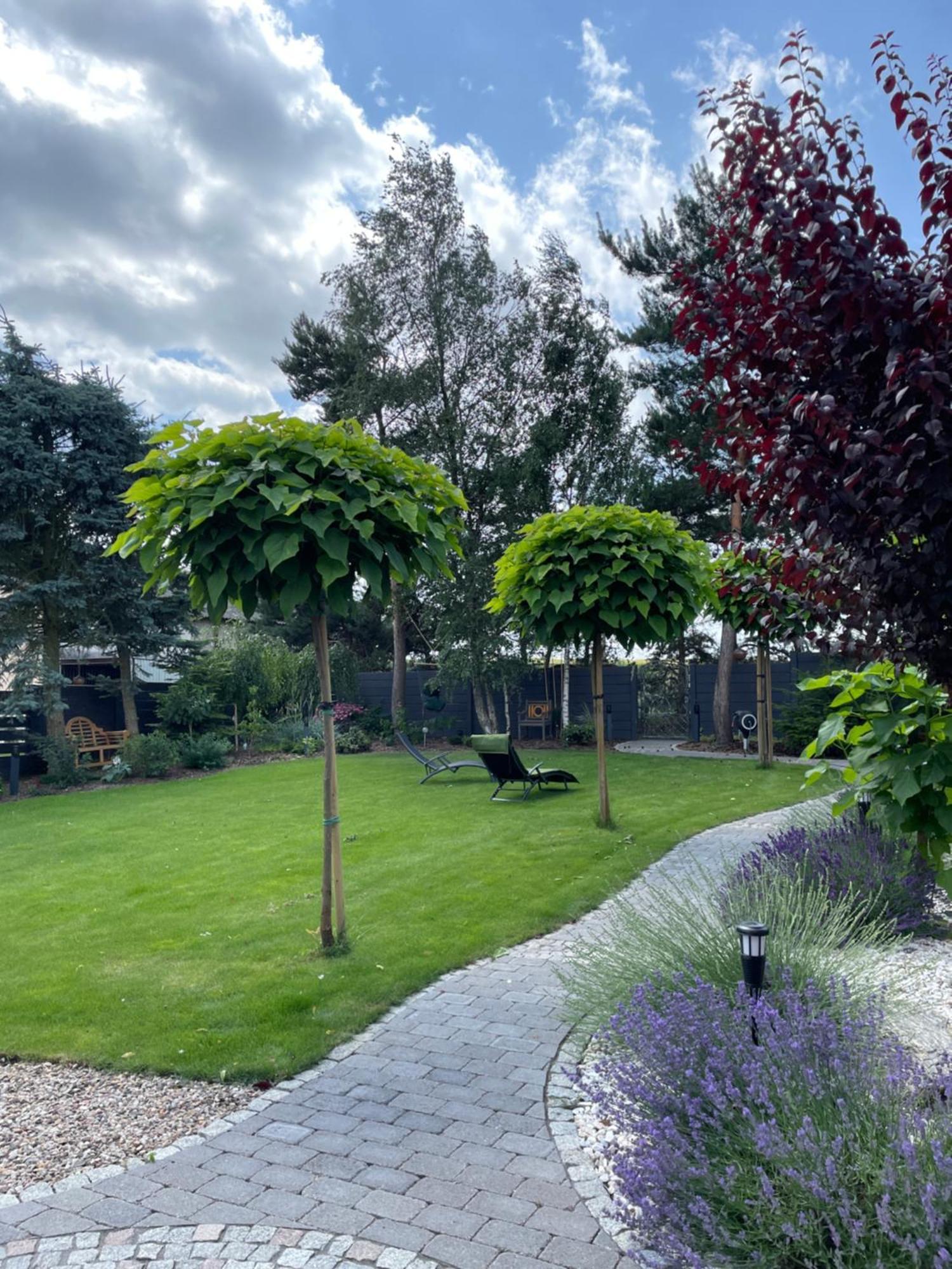 Hortus Apartament Z Klimatyzacja Boleslawiec  Dış mekan fotoğraf