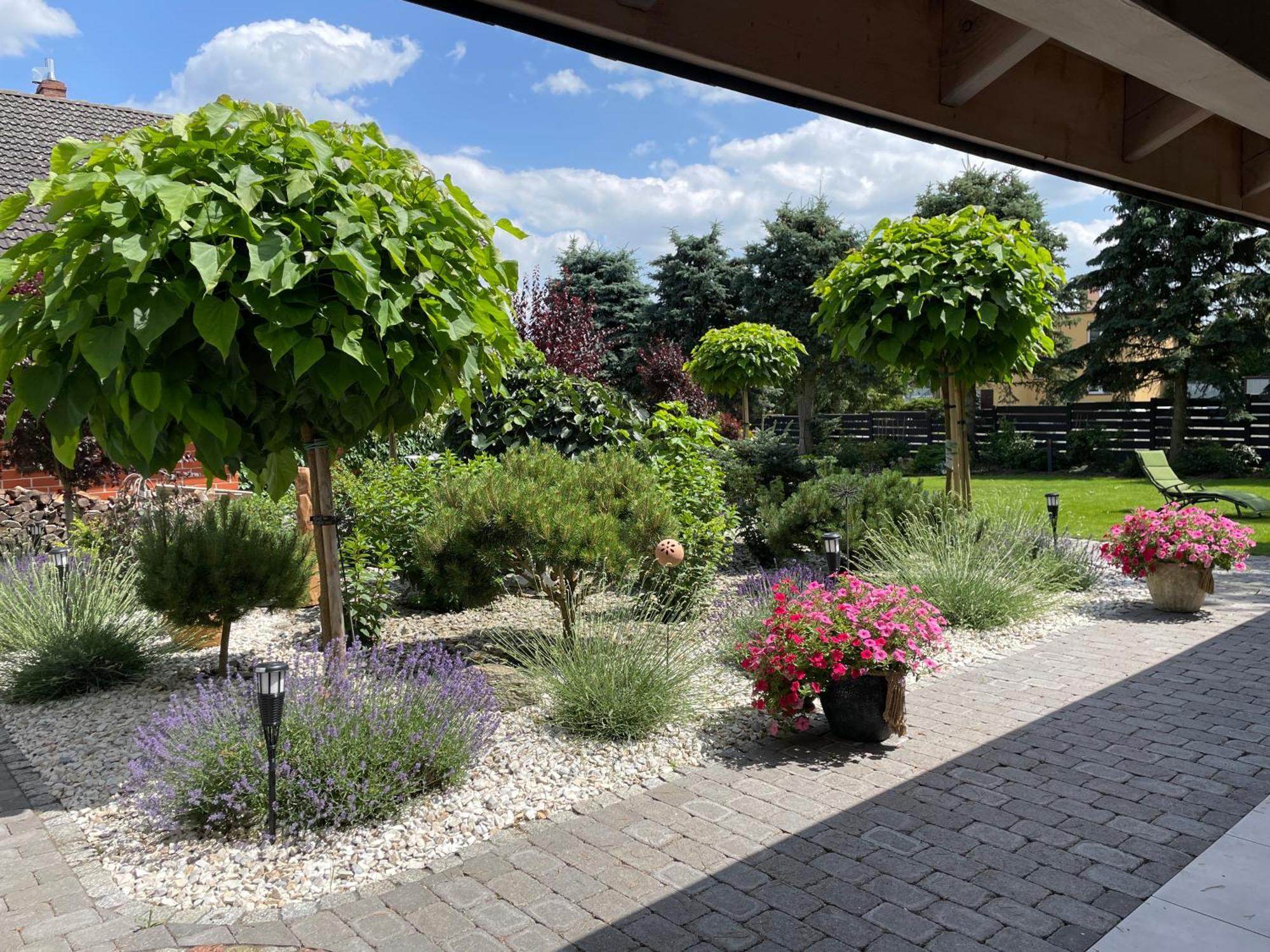 Hortus Apartament Z Klimatyzacja Boleslawiec  Dış mekan fotoğraf
