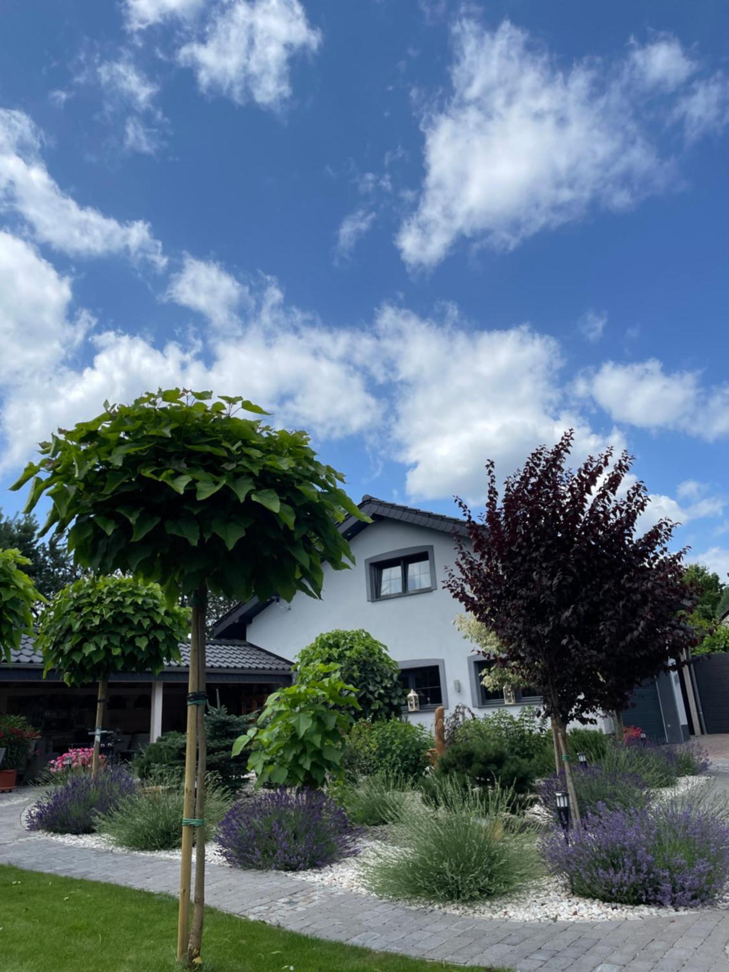 Hortus Apartament Z Klimatyzacja Boleslawiec  Dış mekan fotoğraf